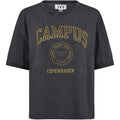 IVY Copenhagen IVY-Campus Glitter Tee Tops & T-shirts 84 Rock Grey