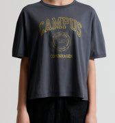 IVY Copenhagen IVY-Campus Glitter Tee Tops & T-shirts 84 Rock Grey