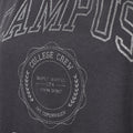 IVY Copenhagen IVY-Campus Glitter Tee Tops & T-shirts 862 Silver Grey