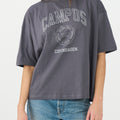 IVY Copenhagen IVY-Campus Glitter Tee Tops & T-shirts 862 Silver Grey