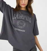 IVY Copenhagen IVY-Campus Glitter Tee Tops & T-shirts 862 Silver Grey