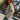 IVY Copenhagen IVY-Stix LS Polo Tops & T-shirts Ecru w. Camel/Pale Blue Stripes